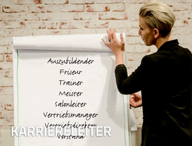 karriereleiter